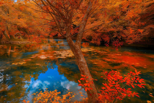 �1756848 �������(a): ����������:1920x1279